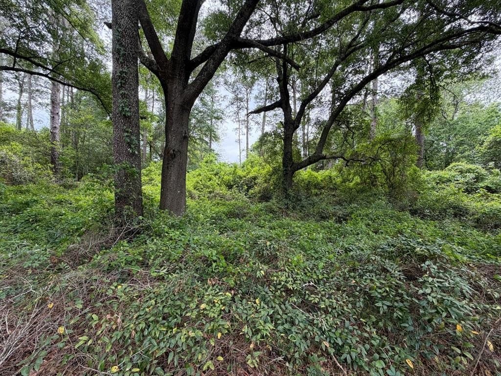 land for sale at 610 Bobbit Dr Albany - $15,000