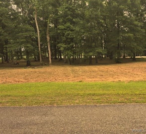 land for sale at Cypress Point Dr Lot 87 Akron - $52,500