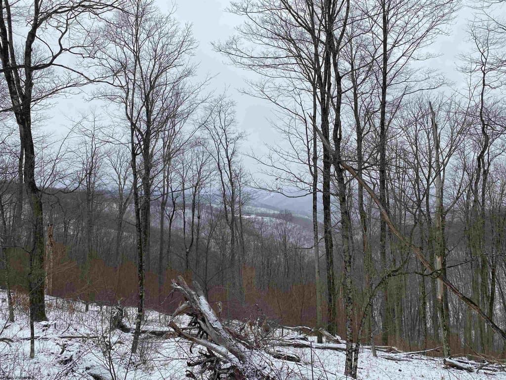 land for sale at Stemple Ridge Rd Aurora - $89,900