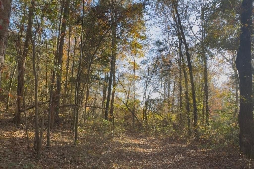 land for sale at County Road 215 Abbeville - $320,000