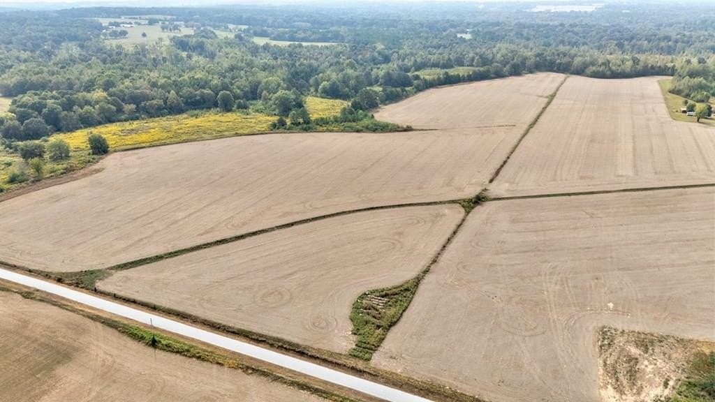 land for sale at 12345678 County Road 208 Abbeville - $225,000