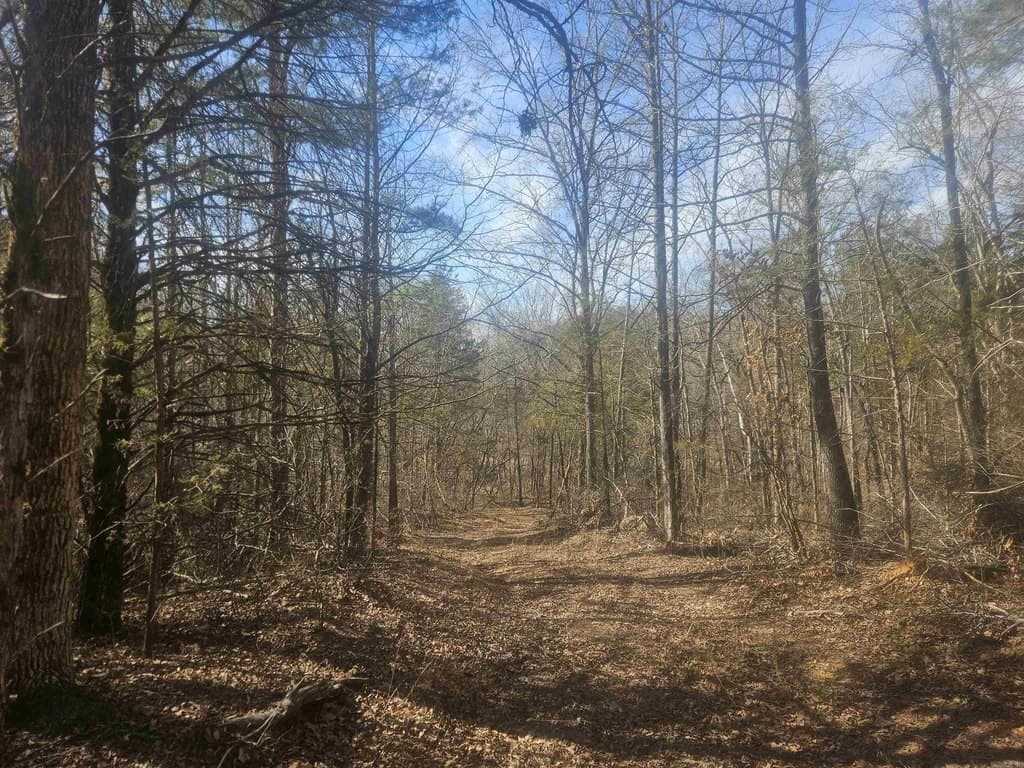land for sale at Fawn Rd Big Flat - $190,750
