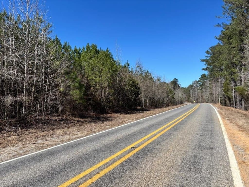 land for sale at Highway 17 Canton - $394,900