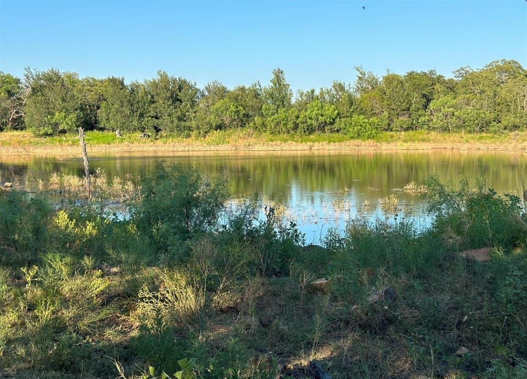 land for sale at Thomas/Pritchard 331 County Road 139 Bangs - $1,989,700