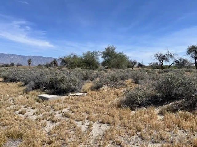 land for sale at 2903 Units 88 & 89 and 2907 Foursome Dr Borrego Springs - $19,500