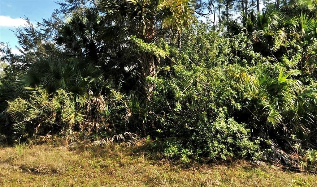 land for sale at Bolus North Port 34288 - $12,000