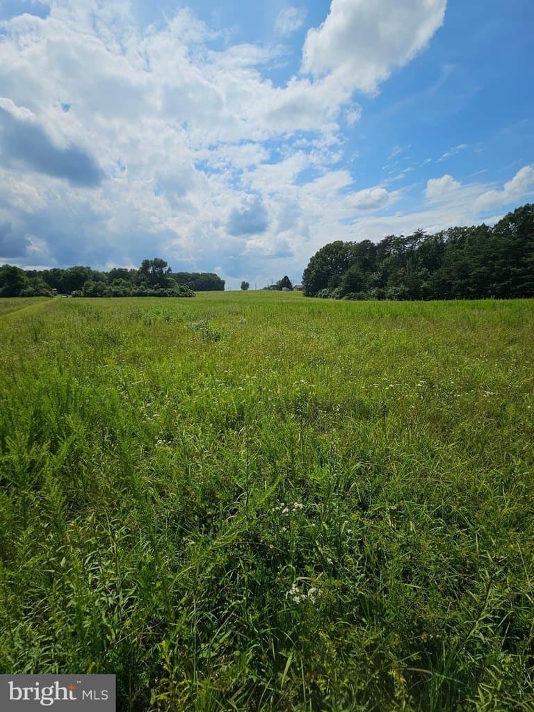 land for sale at 11145 Brent Town Rd Catlett - $950,000