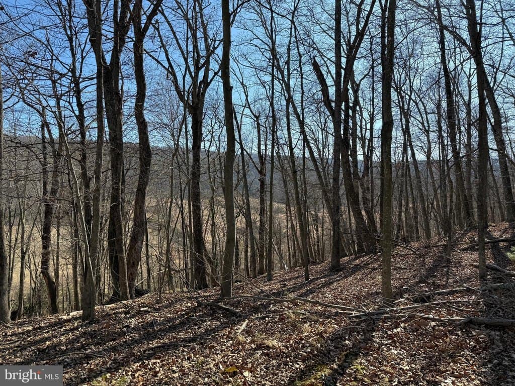 land for sale at Ritters Hidden Vly Lots 7 & 8 Capon Bridge - $89,900