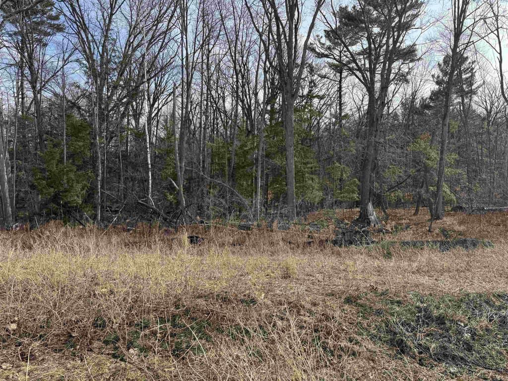 land for sale at 3207 Eclipse Dr Unit 96 Bellevue - $152,900