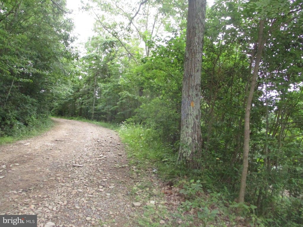 land for sale at 1000 Snake Rd Aurora - $599,000