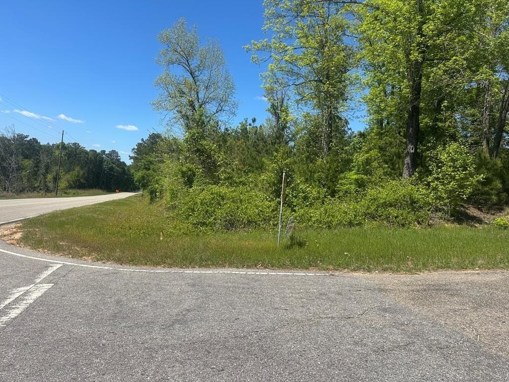 land for sale at 5534 County Road 97 Abbeville - $39,500