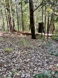 land for sale at 388 Moonraker Rd Sea Ranch - $45,000