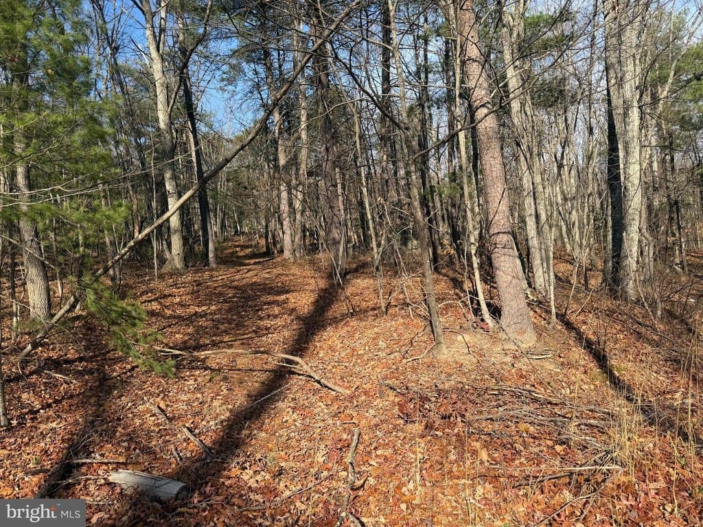 land for sale at 5 Cooper Mountain Vw Capon Bridge - $59,000