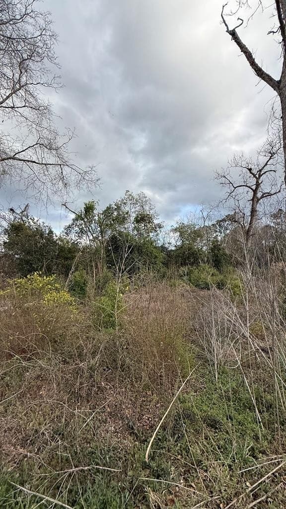 land for sale at 612-BN W Railroad Ave Boston - $15,000