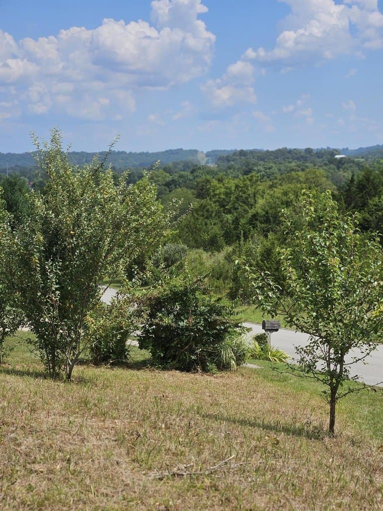 land for sale at 6 Links View Dr Butler - $33,900
