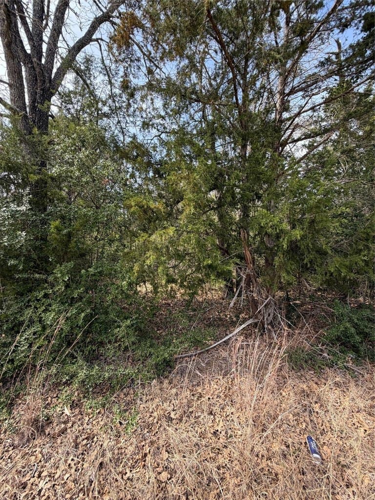 land for sale at Flint Ridge St Lot 20 Camp Swift - $79,000