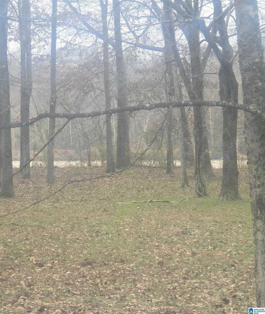 land for sale at Cypress Point Dr Lot 12 Akron - $45,000