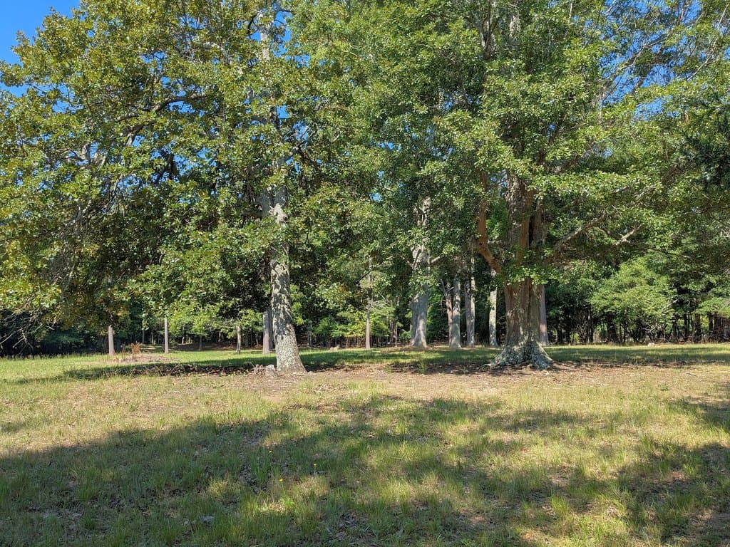 land for sale at 0000 Tract Roddey Rd # 1A Catawba - $104,900