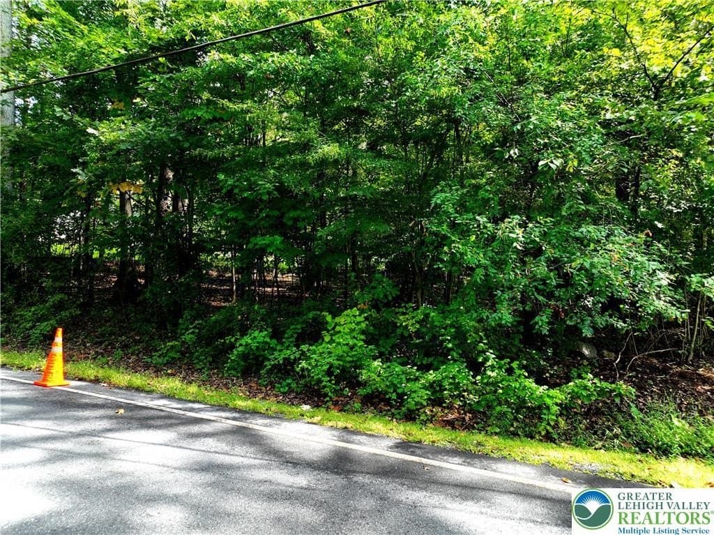 land for sale at Molasses Rd Lot 1 Ackermanville - $39,900