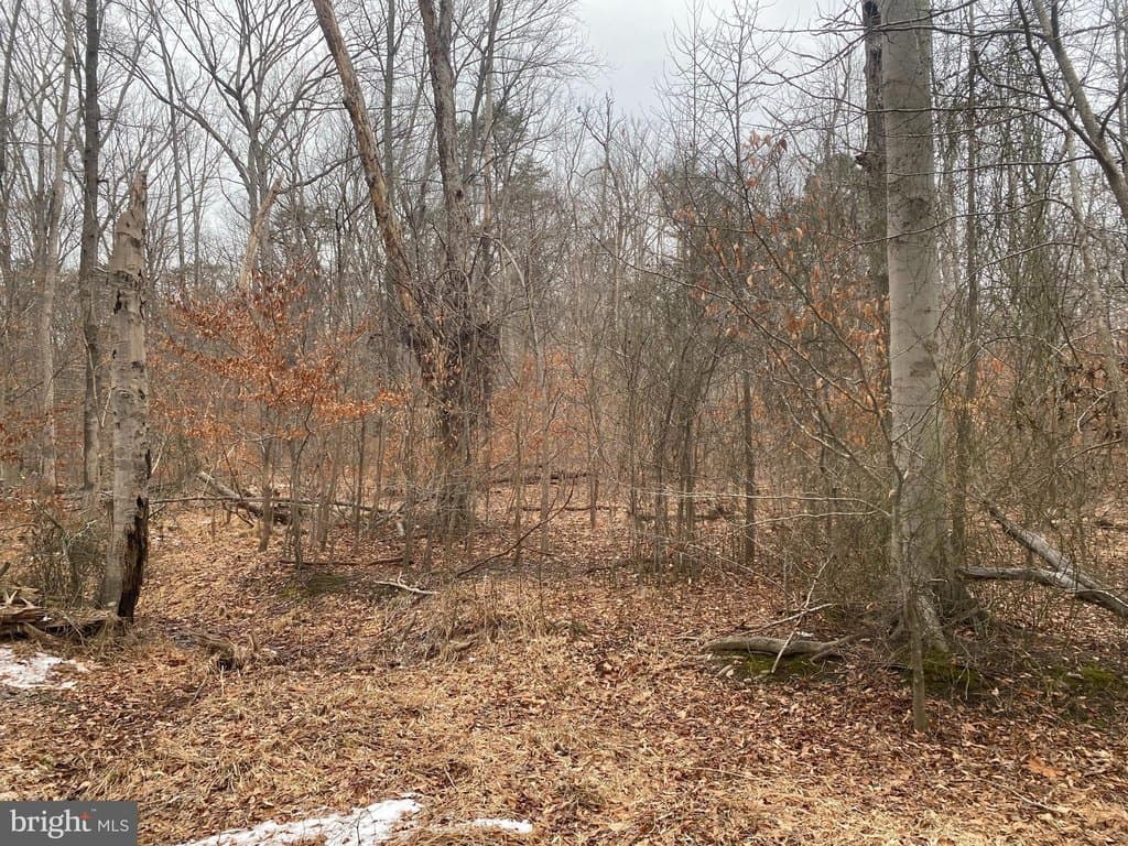 land for sale at 14313 Jericho Park Rd Bowie - $49,900