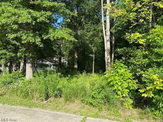land for sale at Vl Stearns Rd North Olmsted 44070 - $55,000