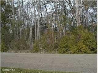 land for sale at 200 Sunset Ave Lot 9 Baldwin - $20,000