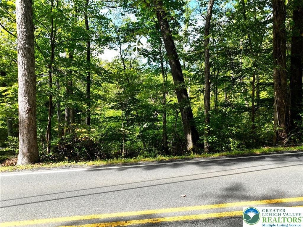 land for sale at Molasses Rd Lot 2 Ackermanville - $59,000